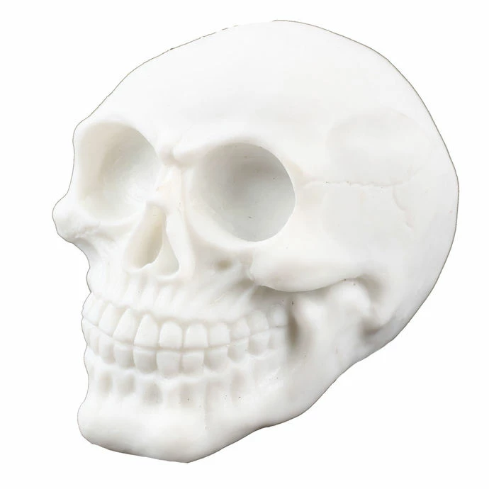 Skull ZOELIBAT 4 Skull ZOELIBAT - Image 2