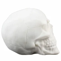 Skull ZOELIBAT 7 Skull ZOELIBAT -Figures Sales Store 101425 018