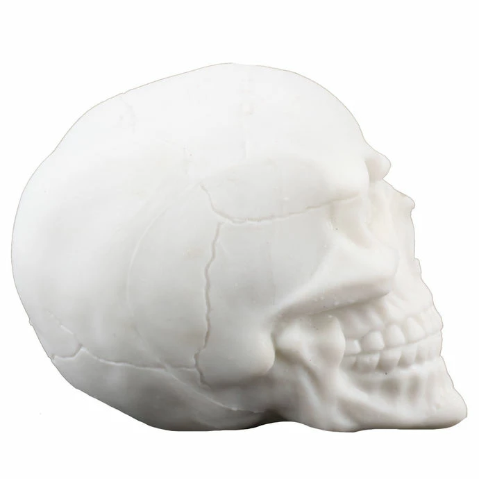 Skull ZOELIBAT 5 Skull ZOELIBAT - Image 3