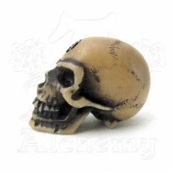 Decoration Alchemy Gothic - Lapillus Worry Skull -Figures Sales Store 73493 3