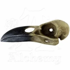 Decoration ALCHEMY GOTHIC - Corvus Alchemica -Figures Sales Store 81341 4