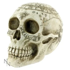 Decoration Astrological Skull