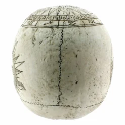 Decoration Astrological Skull -Figures Sales Store 88054 3