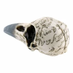 Decoration Edgar's Raven Skull -Figures Sales Store 98890 3