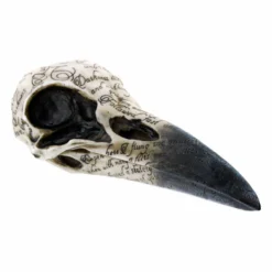 Decoration Edgar's Raven Skull -Figures Sales Store 98890 4