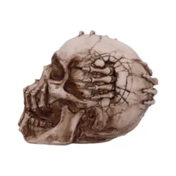 Decoration Breaking Out Skull -Figures Sales Store b5389s0 2