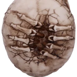 Decoration Breaking Out Skull -Figures Sales Store b5389s0 4