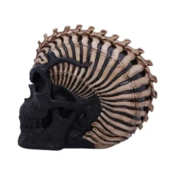 Decoration Spine Head Skull -Figures Sales Store b5390s0 2