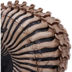 Decoration Spine Head Skull -Figures Sales Store b5390s0 5