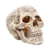 Decoration Hieroglyphic Skull -Figures Sales Store d4227m8