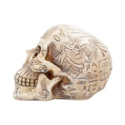Decoration Hieroglyphic Skull -Figures Sales Store d4227m8 2