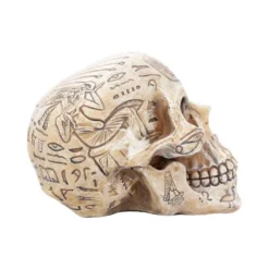 Decoration Hieroglyphic Skull -Figures Sales Store d4227m8 5