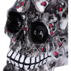 Decoration Skull -Figures Sales Store d5103r6