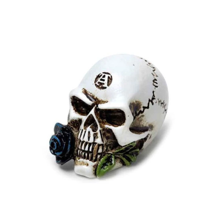 Decoration ALCHEMY GOTHIC - Alchemist Skull 3 Decoration ALCHEMY GOTHIC - Alchemist Skull