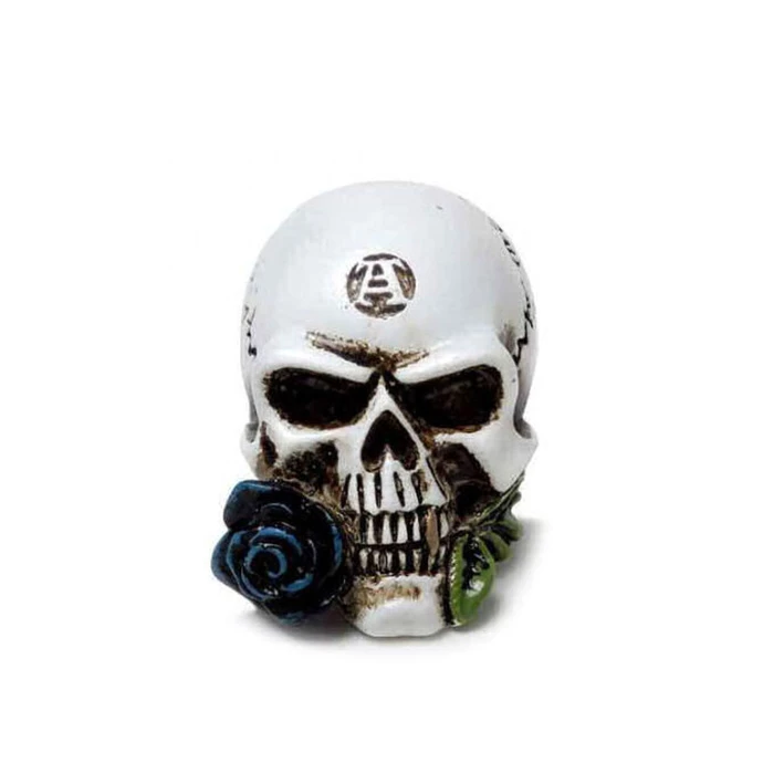 Decoration ALCHEMY GOTHIC - Alchemist Skull 4 Decoration ALCHEMY GOTHIC - Alchemist Skull - Image 2