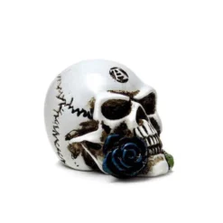 Decoration ALCHEMY GOTHIC - Alchemist Skull 8 Decoration ALCHEMY GOTHIC - Alchemist Skull -Figures Sales Store eminiture002