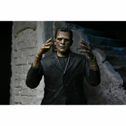 Figure Frankenstein's Monster - Color - Universal Monsters -Figures Sales Store frank color scaled005