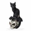 Decoration ALCHEMY GOTHIC - Black Cat & Skull -Figures Sales Store grimalkins ghost000