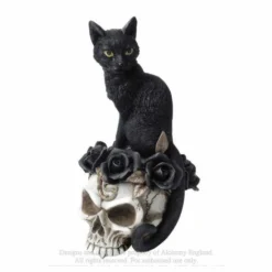 Decoration ALCHEMY GOTHIC - Black Cat & Skull