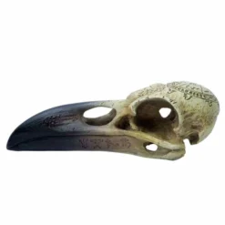Decoration ALCHEMY GOTHIC - Omega Raven Skull -Figures Sales Store omega raven skullfe