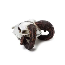Decoration ALCHEMY GOTHIC - Rams Skull -Figures Sales Store rams skull miniturew