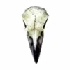 Decoration ALCHEMY GOTHIC - Small Raven Skull -Figures Sales Store reliquary raven skull