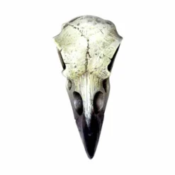 Decoration ALCHEMY GOTHIC - Small Raven Skull