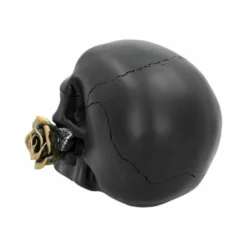 Decoration Black Rose From The Dead -Figures Sales Store s2794g6 3