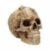 Decoration Cranial Drakos -Figures Sales Store u4465n9